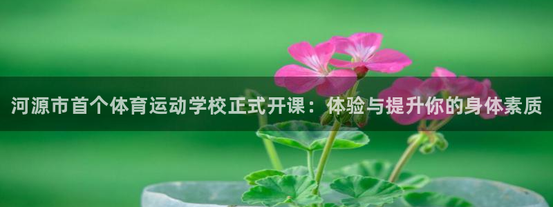 凯发官方正版app集团E.ON:河源市首个体育运动学校正式开