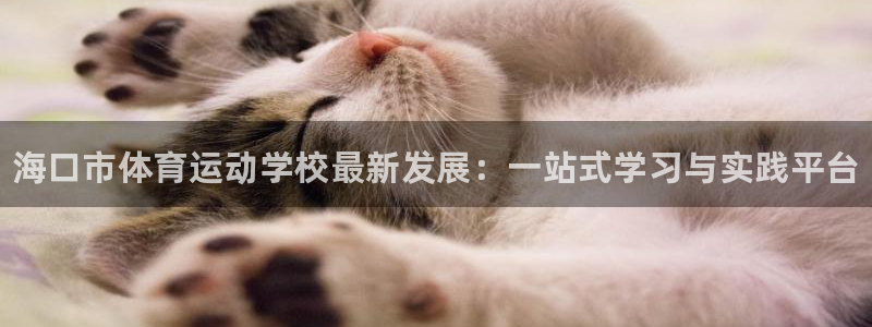 凯发官方正版app集团官网首页:海口市体育运动学校最新发展: